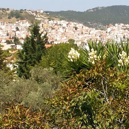 Rastoni 3* Skopelos Town